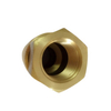 DME Standard Female Thread Brass Mold Quick Coupling 